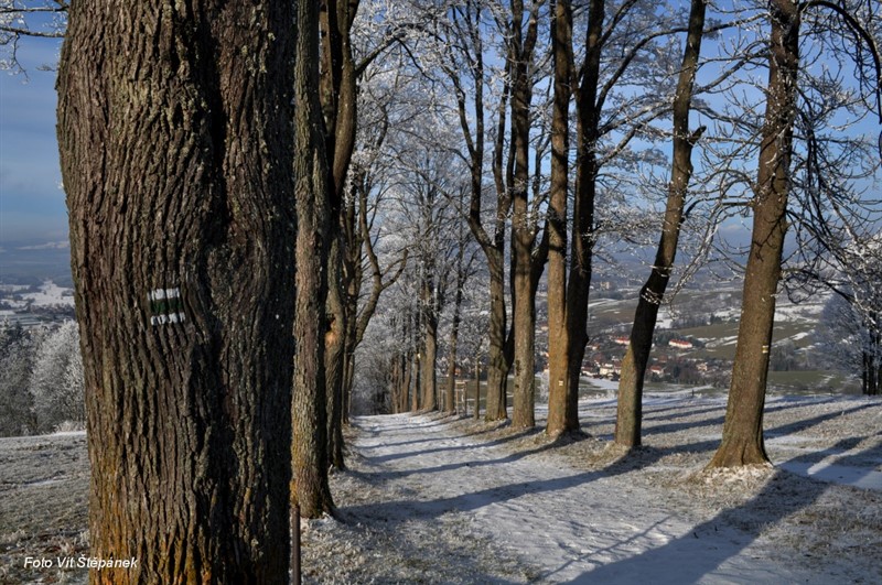 Výstup ke klášteru si musíte odpracovat, poutní cesta je strmá a stále strmější. I kdyby sem značky nevedly, zabloudit nemůžete, trasa drží přímý směr.