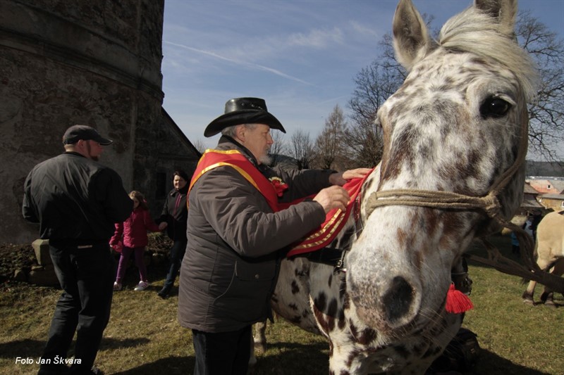 I koně dokážou být netrpěliví