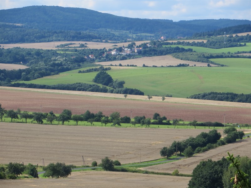 Remízky a stromořadí