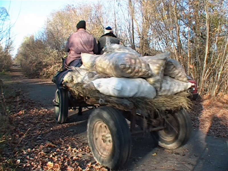 Čerstvé ovoce a zelenina pro městský trh ze zóny - co na tom? 