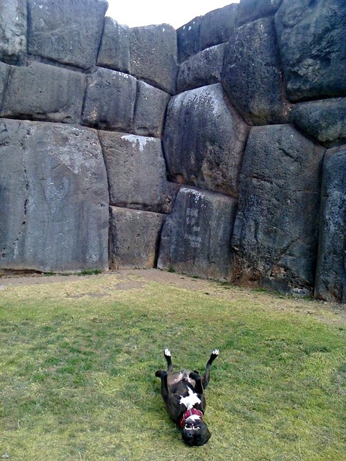 Saksaywaman, Cusco, Peru. Tuhle fotku také rád používám, když se mě lidé ptají, jak ty cesty snášel