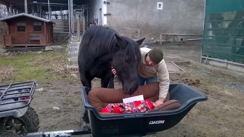 Tekýsek měl přenádherný a neuvěřitelně dojemný pohřeb. Zabalen je do peruánského roucha, společně mými nejvzácnějšími duchovními předměty z Thajska  a tak